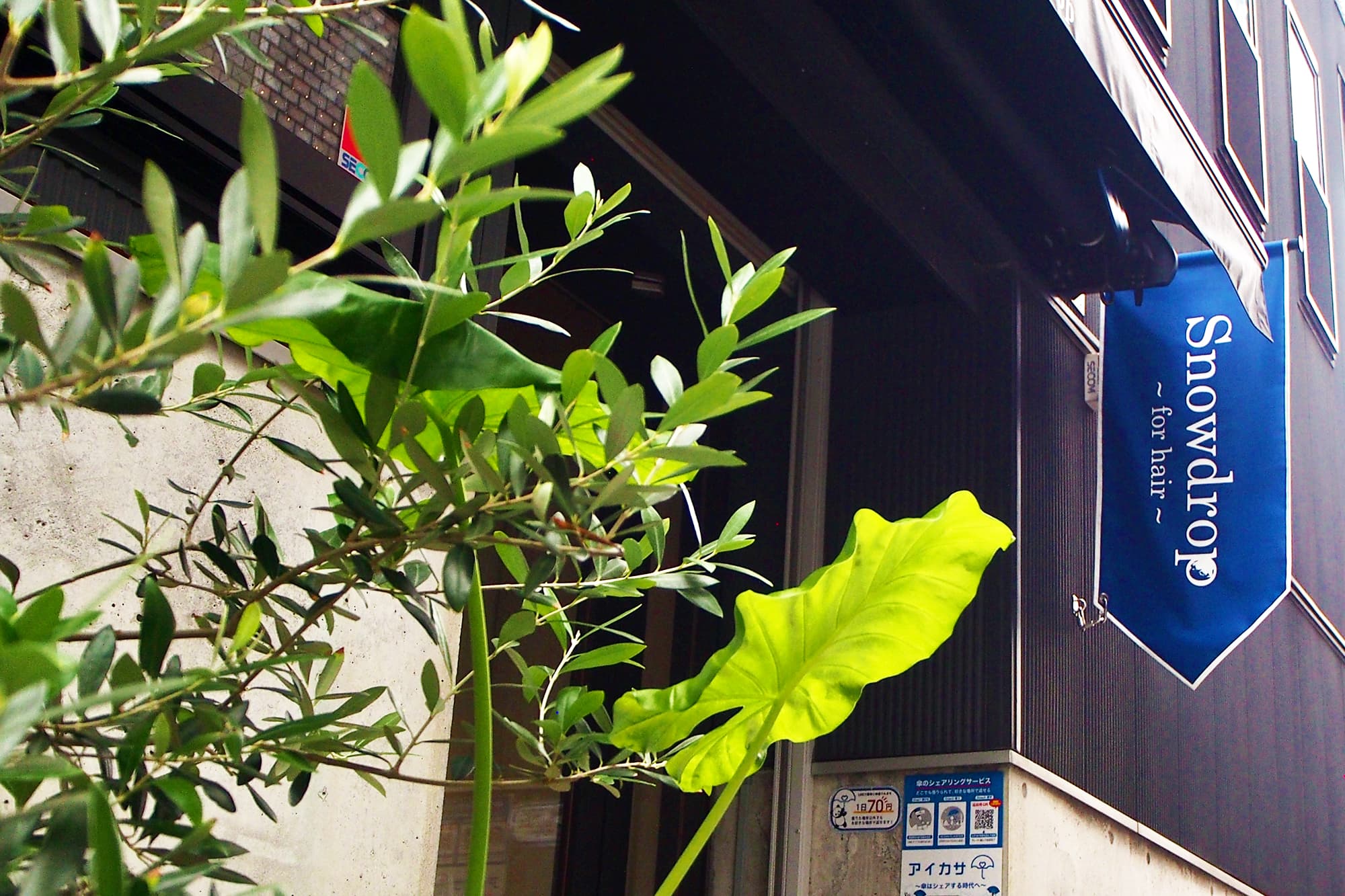 スノードロップ ヘアカタログ|スノードロップ｜Snowdrop｜阿佐ヶ谷・荻窪・吉祥寺の駅近の美容室